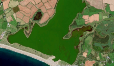 Report condemns decline of Ireland’s largest saltwater lake over 40 years – The Irish Times