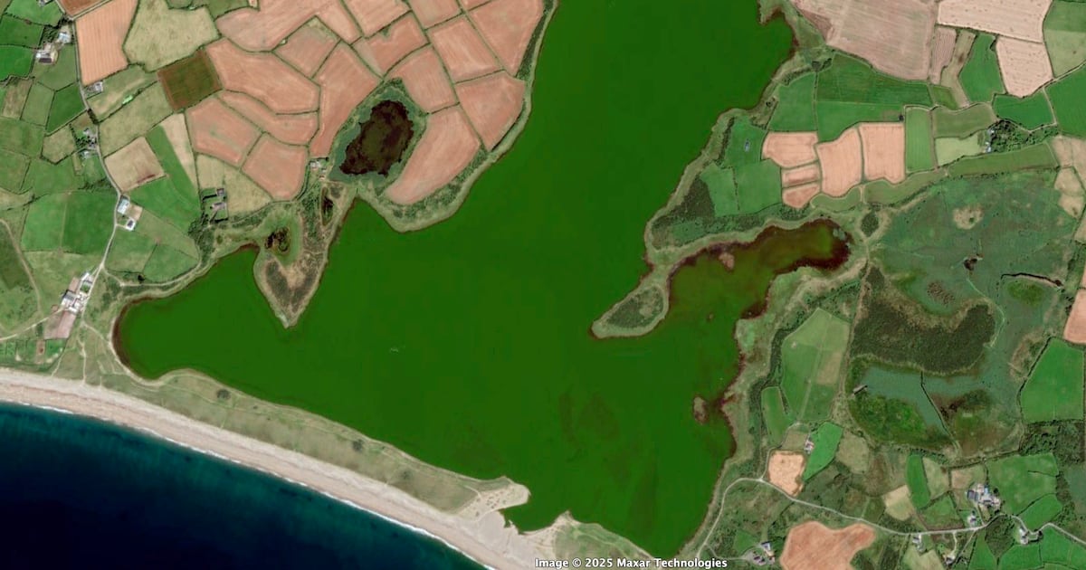 Report condemns decline of Ireland’s largest saltwater lake over 40 years – The Irish Times