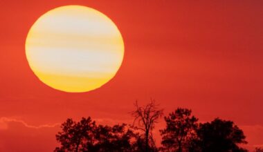 Trump’s EPA Moves to Kill “Holy Grail” of Climate Regulations | The agency said its 2009 finding that greenhouse gases harmed people had caused “years of uncertainty for automakers.”