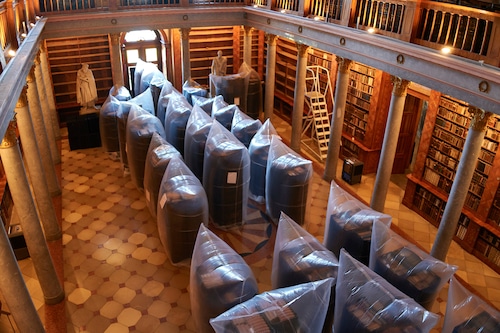 Hungary Medieval Library Infestation