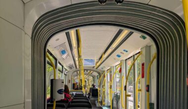 Mann (26) läuft mit totem Reh durch Innenstadt – und zerlegt es später an Tram-Haltestelle