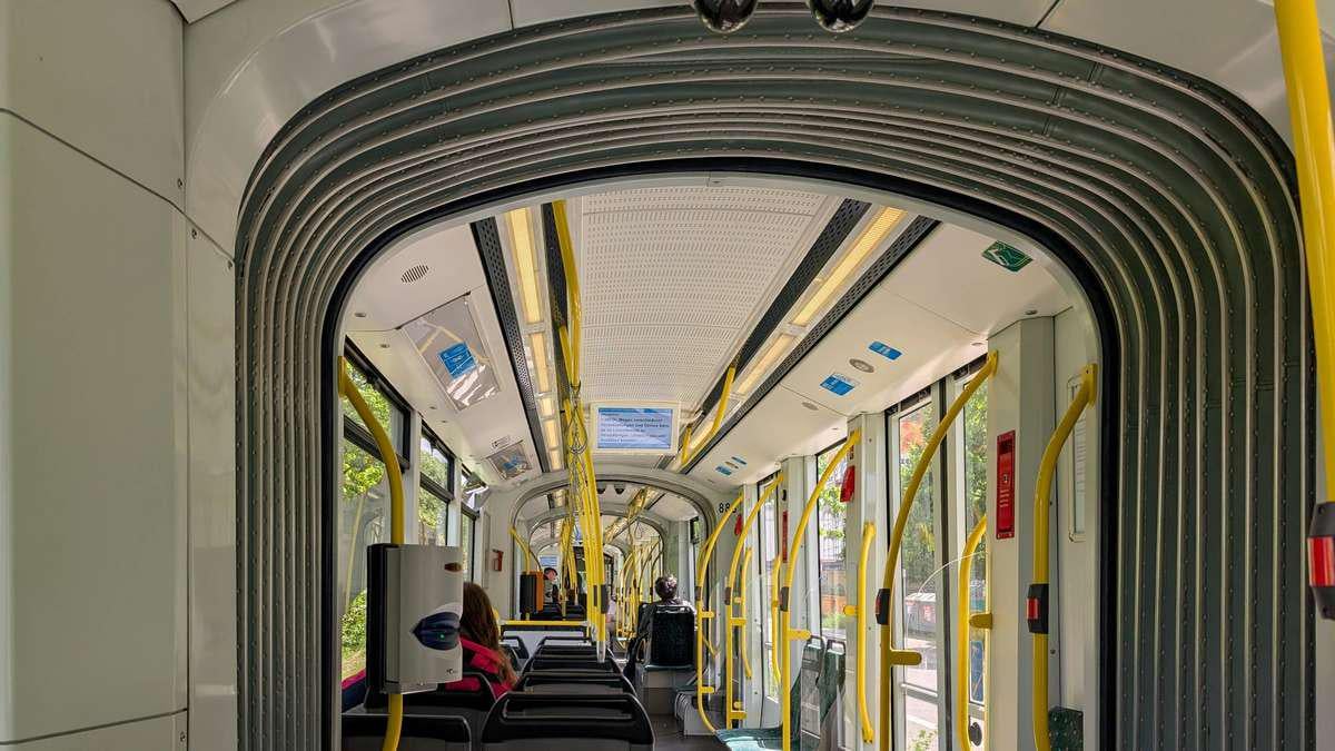 Mann (26) läuft mit totem Reh durch Innenstadt – und zerlegt es später an Tram-Haltestelle