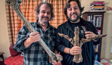 ‘Lord of the Rings’ director backs idea to revive New Zealand’s moa