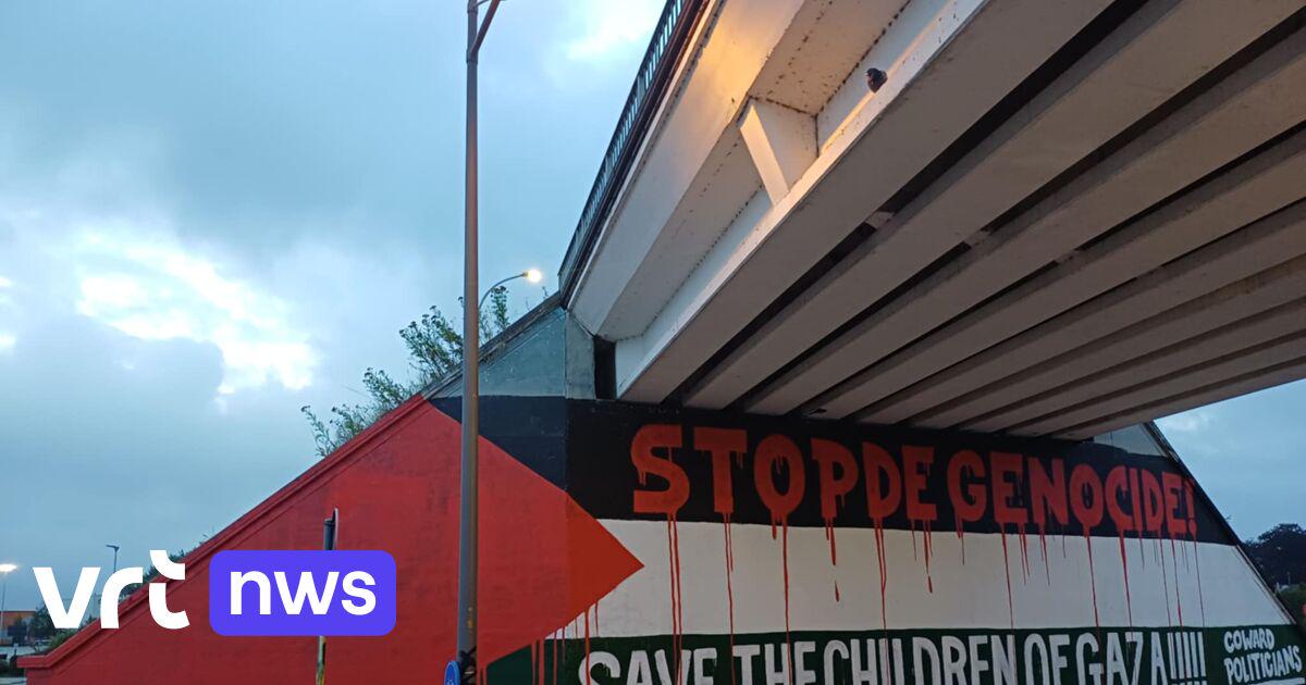 Opvallende graffititekening over Gaza langs spoorweg in Duffel, gemeente laat werk voorlopig staan