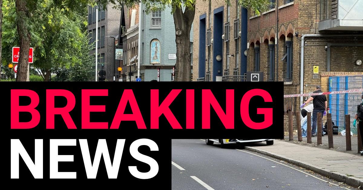 Two dead after quadruple stabbing in London bloodbath