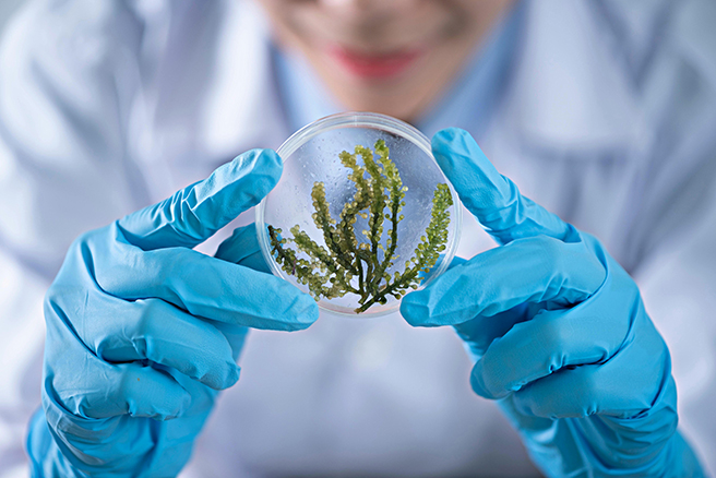 Portugal com duas medalhas de bronze nas Olimpíadas de Biologia realizadas em Manila • Jornal Renovação