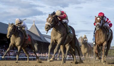 Preservationist Dies in Korea