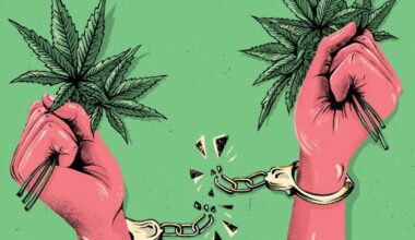 President Trump: Why Releasing Cannabis Prisoners and Legalizing Weed Benefits America