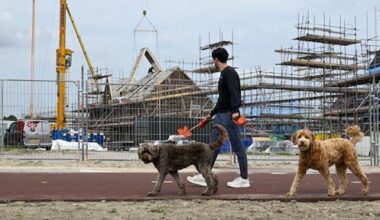 Woningcrisis vraagt om harde keuzes: 'Schrap hypotheekrenteaftrek, stop met zigzag-politiek'