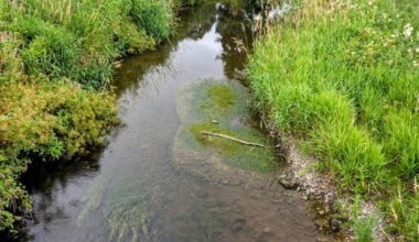 Rhyd y Gyfarthfa: A Ford Steeped in Welsh Lore