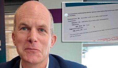 Ofcom official admits new UK porn law can be got around 'like going to the pub'