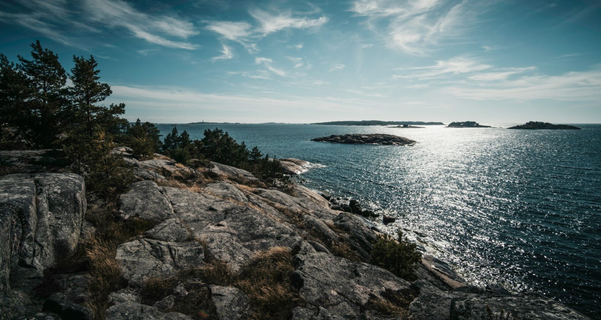 Sweden to ban bottom trawling in marine protected areas