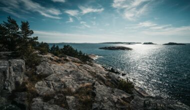 Sweden to ban bottom trawling in marine protected areas