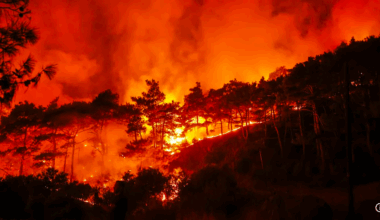 Syria Seeks EU Help as Wildfires Devastate Coastal Region Amid Climate and War Challenges - Syria Seeks EU Help as Wildfires Devastate Coastal Region Amid Climate and War Challenges - Tekedia Forum