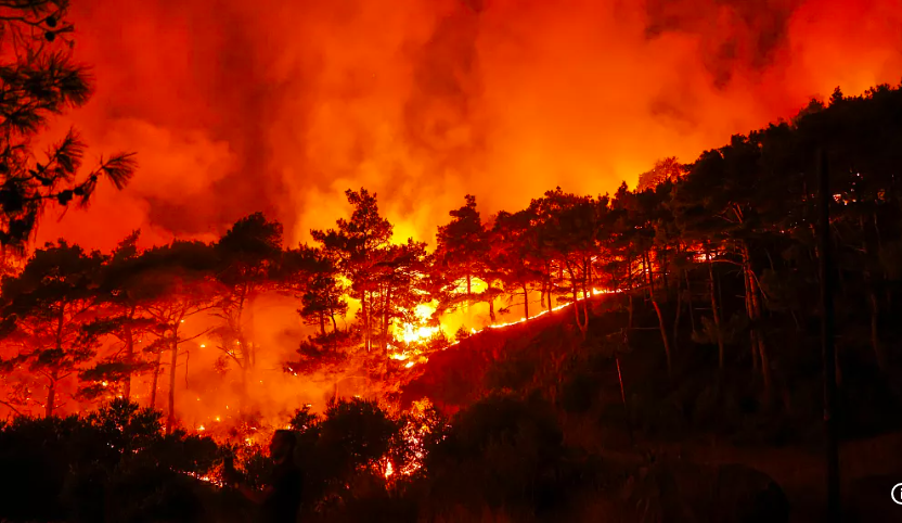 Syria Seeks EU Help as Wildfires Devastate Coastal Region Amid Climate and War Challenges - Syria Seeks EU Help as Wildfires Devastate Coastal Region Amid Climate and War Challenges - Tekedia Forum