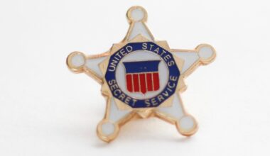 Secret Service Plans Global Expansion of Anti-Crypto Crime Effort