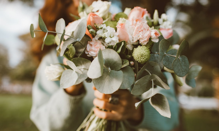 Send Flowers to Cyprus Spread Dubrovniks Charm Far and Wide