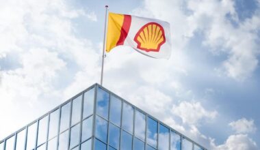 Shell LNG sales rise but profits plunge by a third | Finance