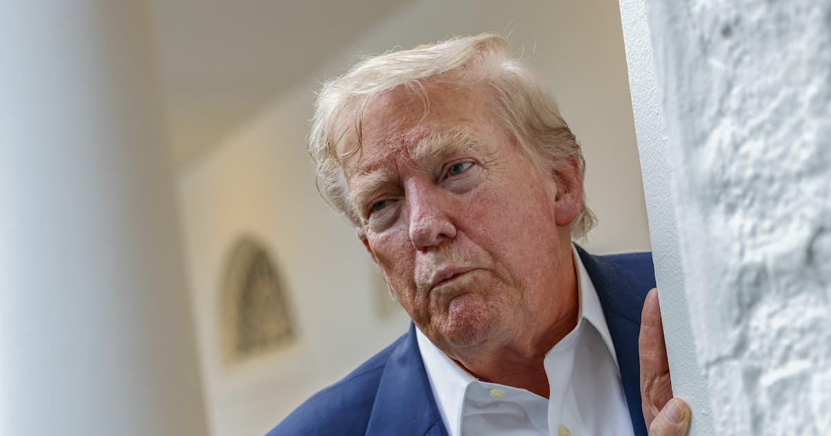 Trump May Have Screwed Himself by Admitting He Knew Epstein Victim | A law professor warned that Donald Trump had put himself in a “very potentially bad situation.”