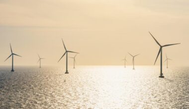 Belgium delays 700MW offshore wind farm tender