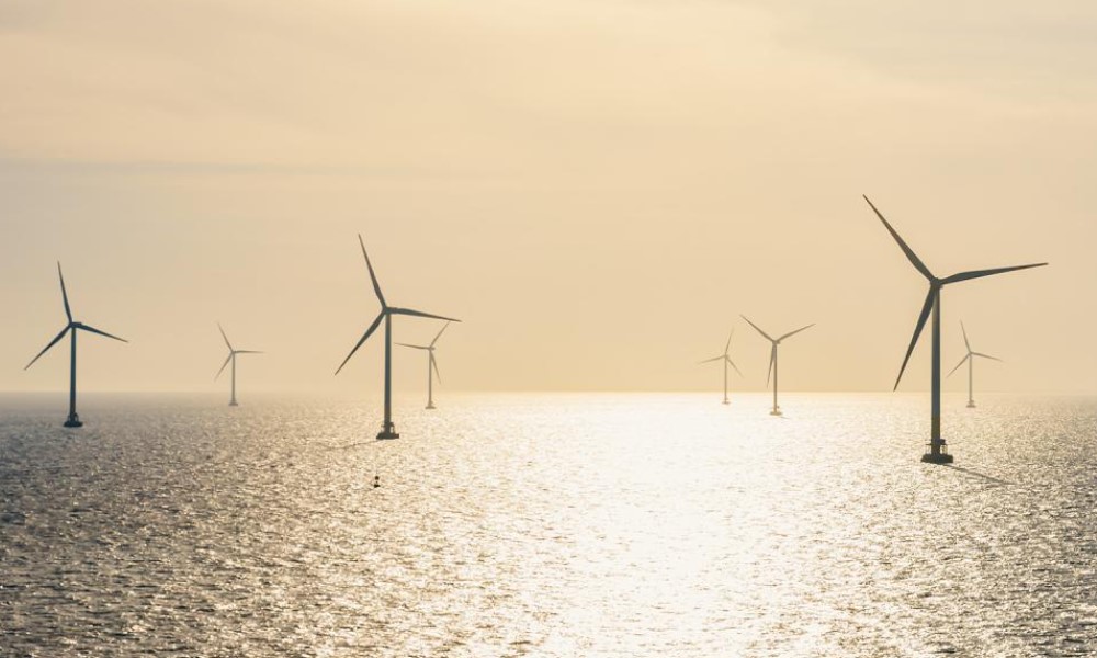 Belgium delays 700MW offshore wind farm tender