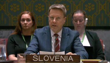 Statement by Permanent Representative of Slovenia to the United Nations Samuel Žbogar at UNSC meeting on the Reports of the Secretary-General on the Sudan and South Sudan