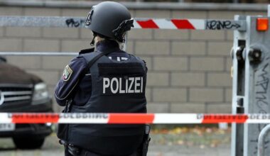31-year-old in custody after homicide in Hemmingen-Arnum
