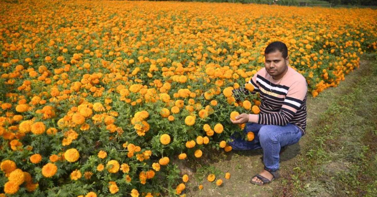 As months passed and his confidence grew and he decided that instead of simply trading flowers, he would cultivate them himself. 