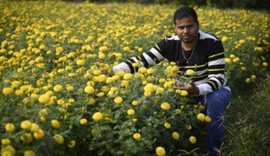 How This College Dropout Built a Rs 7 Crore/Year Marigold Business From Scratch