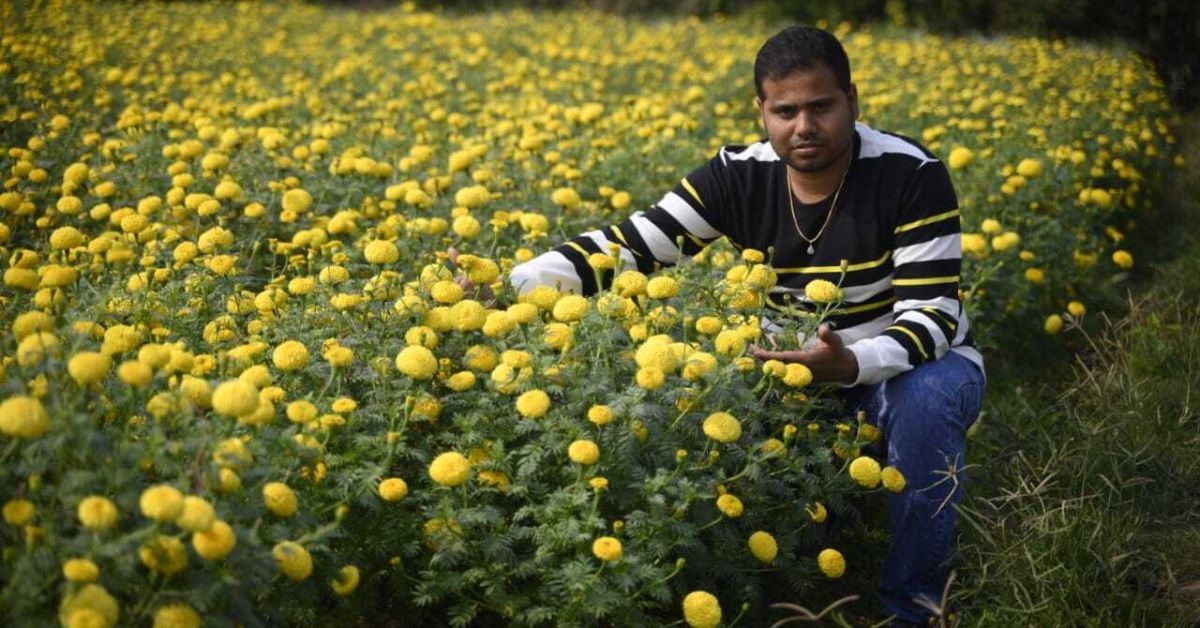 How This College Dropout Built a Rs 7 Crore/Year Marigold Business From Scratch