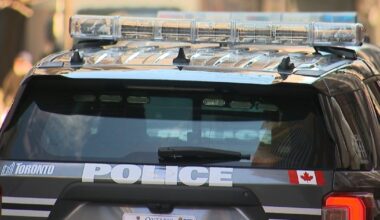 Toronto man, woman charged in dog-dragging incident