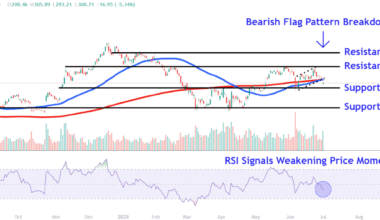 Watch These Tesla Price Levels as Stock Bounces Back from Sell-Off