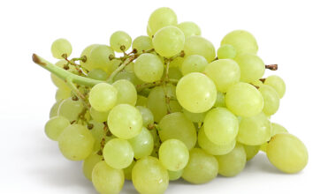 From Iceland — Sour Grapes: Parking Fees And Fines