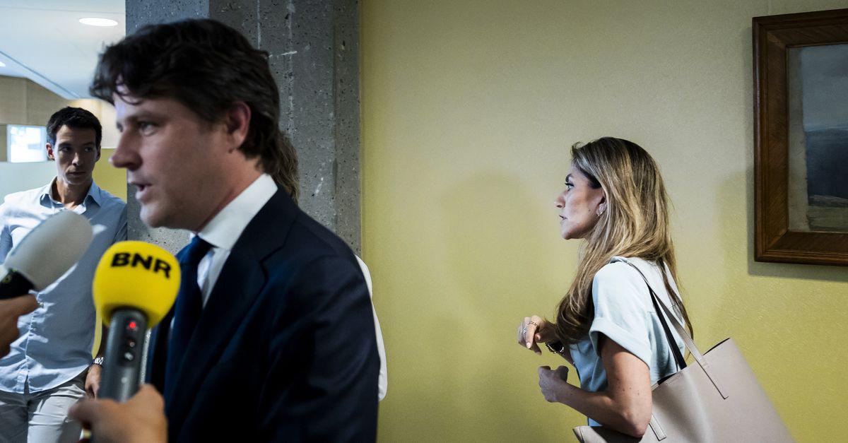 Strafbaarstelling van illegaliteit is voor het CDA een brug te ver, partij loopt electoraal risico