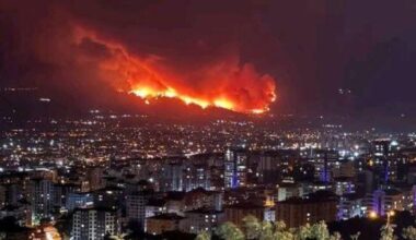Turkey Wildfire Claims Lives of Firefighters and Forest Workers in Eskişehir