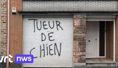 Hond wordt meegesleurd achter auto en sterft, huis van bestuurder in brand gestoken: "Dood van hond uitgedraaid in klopjacht" | VRT NWS: nieuws