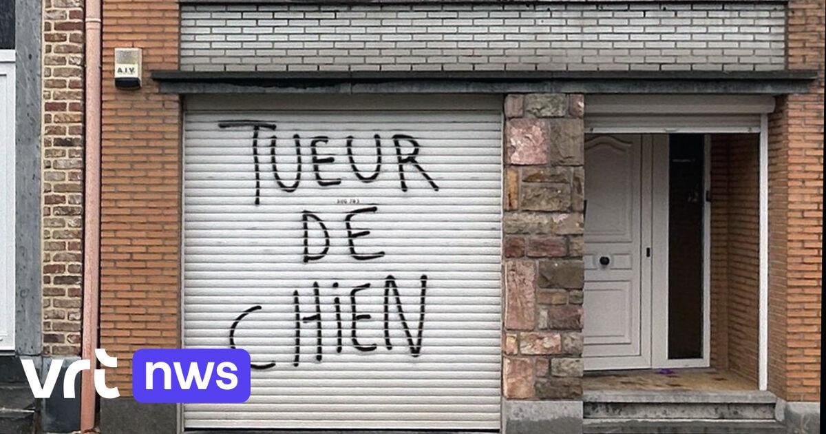 Hond wordt meegesleurd achter auto en sterft, huis van bestuurder in brand gestoken: "Dood van hond uitgedraaid in klopjacht" | VRT NWS: nieuws