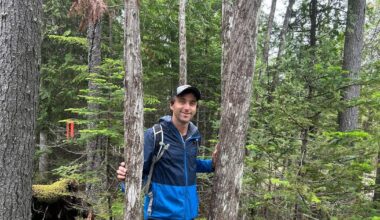 Saint John City Council Pushes Forward to Destroy 400-Year-Old Forest in New Brunswick, Canada