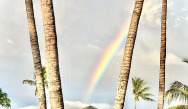 Hawaii’s governor cancels veto plans, approves more solar. Gov. Green decided against his initial plans to veto and signed a bill into law to expand its residential solar-plus-storage buildout.