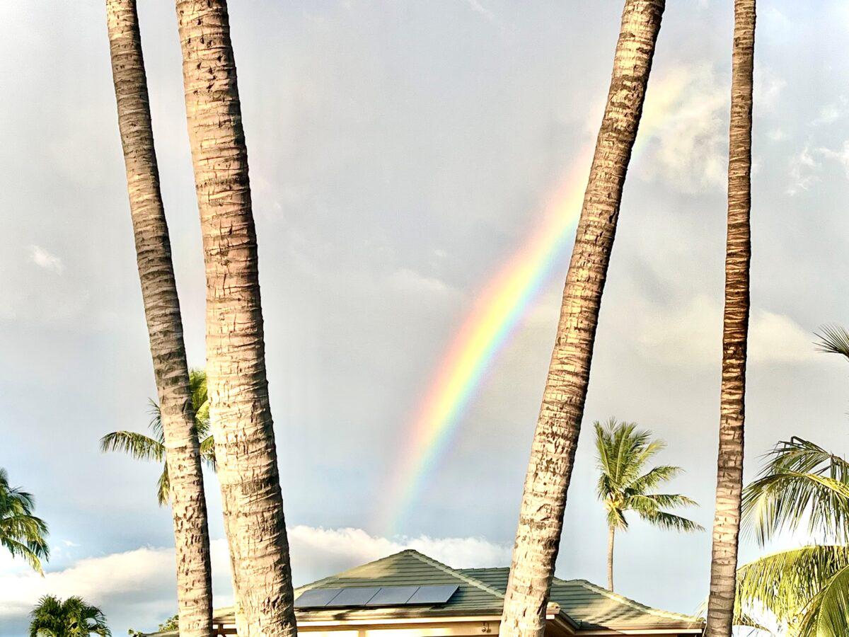 Hawaii’s governor cancels veto plans, approves more solar. Gov. Green decided against his initial plans to veto and signed a bill into law to expand its residential solar-plus-storage buildout.