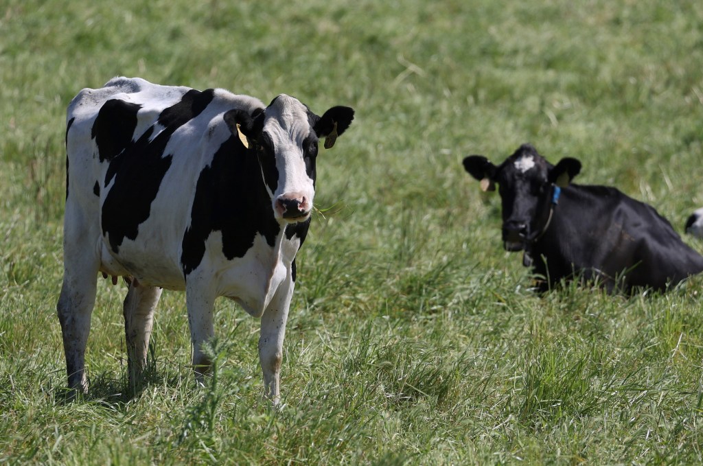 Change animal agriculture to reckon with climate change