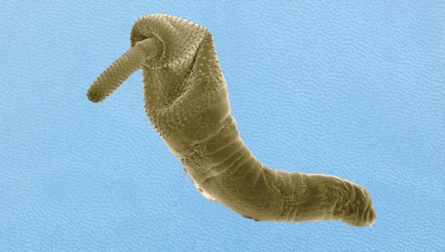 bne IntelliNews - Croatian scientists’ discovery may hold key to combatting water pollution 