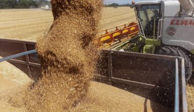 Russia Becomes Net Food Importer as Economy Falters Under War Strain