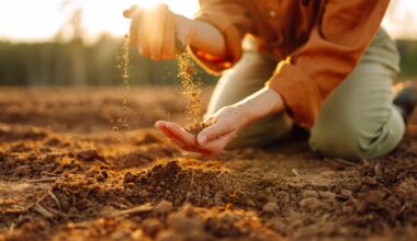 Land x Launch NZ ropes in five startups to tackle gaps