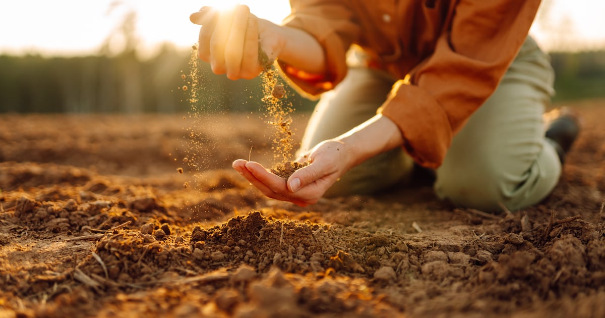 Land x Launch NZ ropes in five startups to tackle gaps
