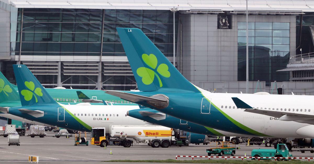 Plane cleaning staff caught nicking booze, cigarettes and Pringles after secret cameras installed