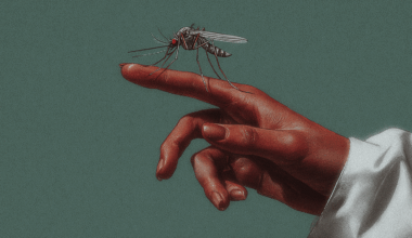 First West Nile Virus Cases Detected in Greece for 2025