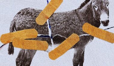 Opinion | James Carville: My Fix for the Confused and Leaderless Democrats
