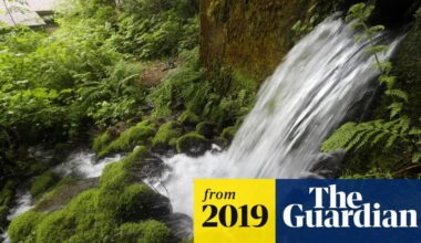 The fight to stop Nestlé from taking America's water to sell in plastic bottles | Water