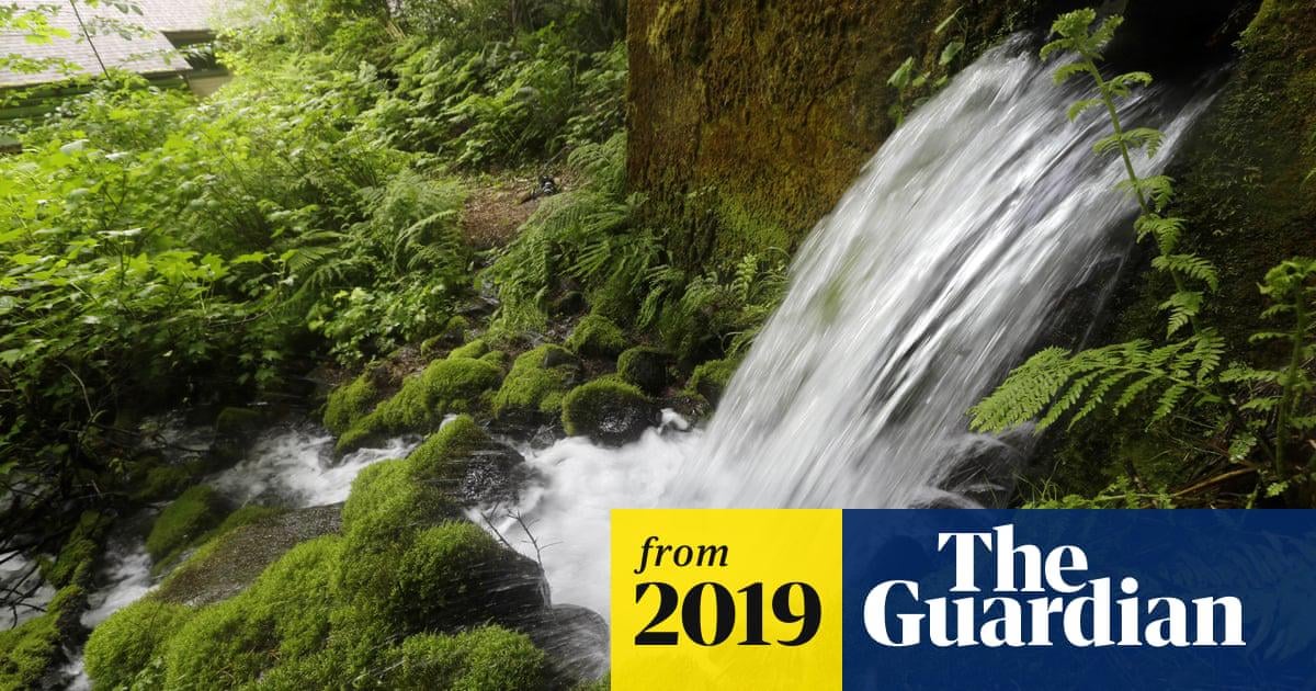 The fight to stop Nestlé from taking America's water to sell in plastic bottles | Water